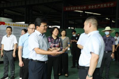 县人大、政协委员视察重点建议及提案工作